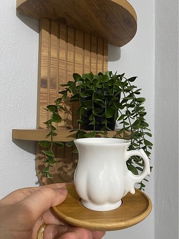 Mien marka 6 kişilik fincan takımı bambu