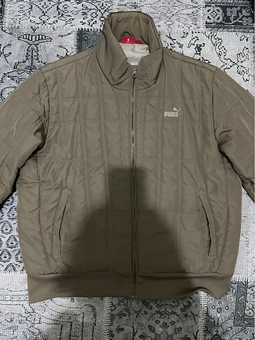 Puma mont