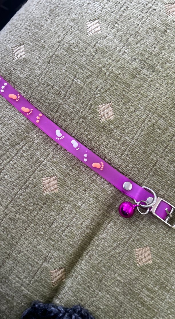 Mor Renkli Kedi Tasması - Görsel 2