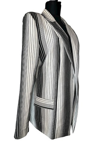 Çizgili Uzun Kadın Blazer Ceket - Görsel 3