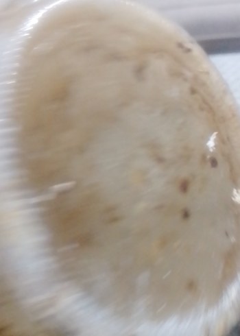 Bej ve Gri Tonlarında Seramik Vazo - Görsel 6