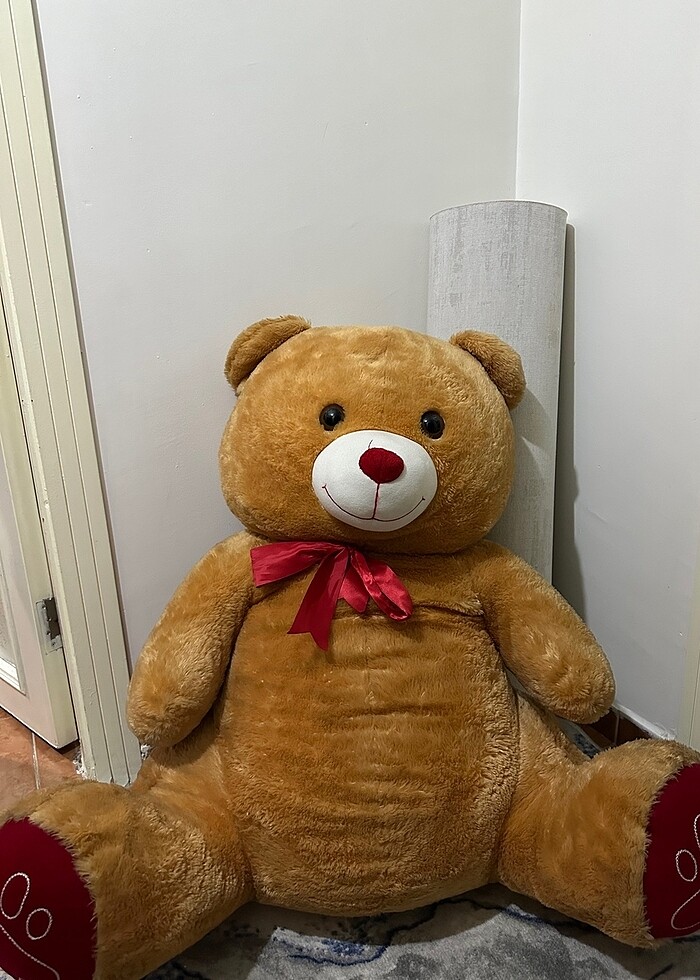 Büyük Ayı - Görsel 2