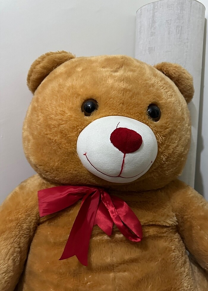 Büyük Ayı - Görsel 4