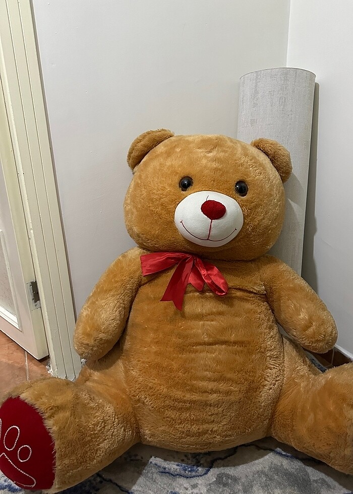 Büyük Ayı - Görsel 3