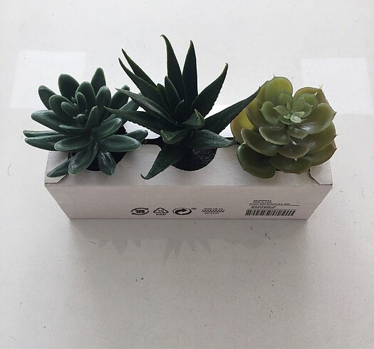 Ikea #ikea yapay bitki kaktüs