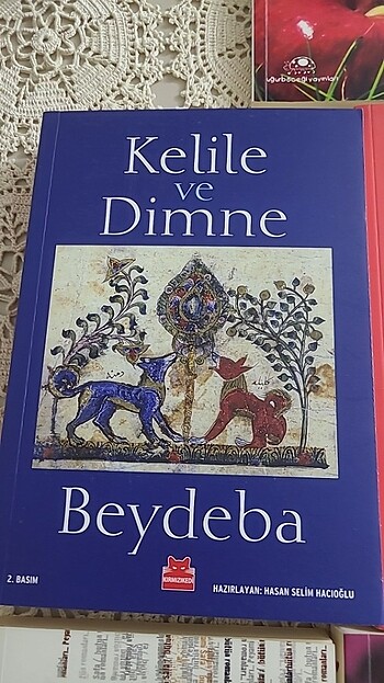 Beden Renk Roman ve hikayeler