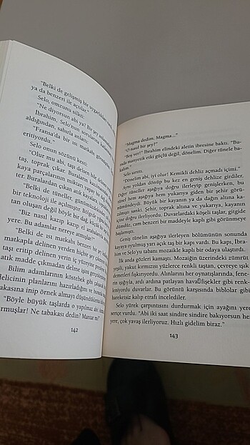  Beden Roman