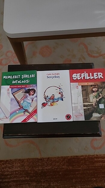 Çocuk kitapları 