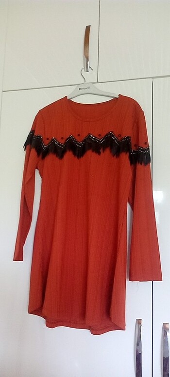 Diğer Tunik