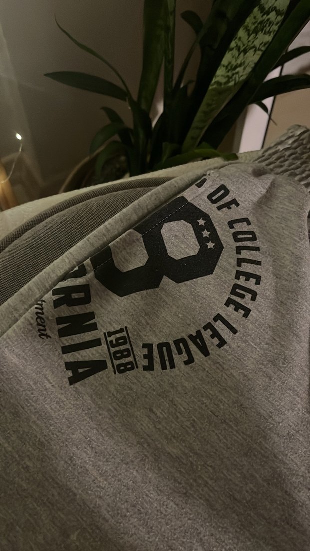 Gri Eşofman Altı - Görsel 3