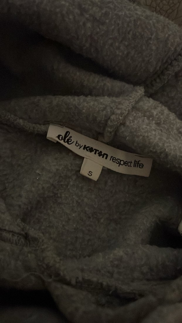 Gri Kapüşonlu Sweatshirt - Görsel 3