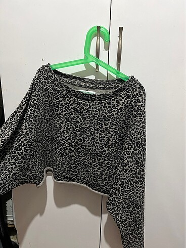 Crop kazak