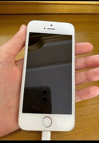 iPhone 5s