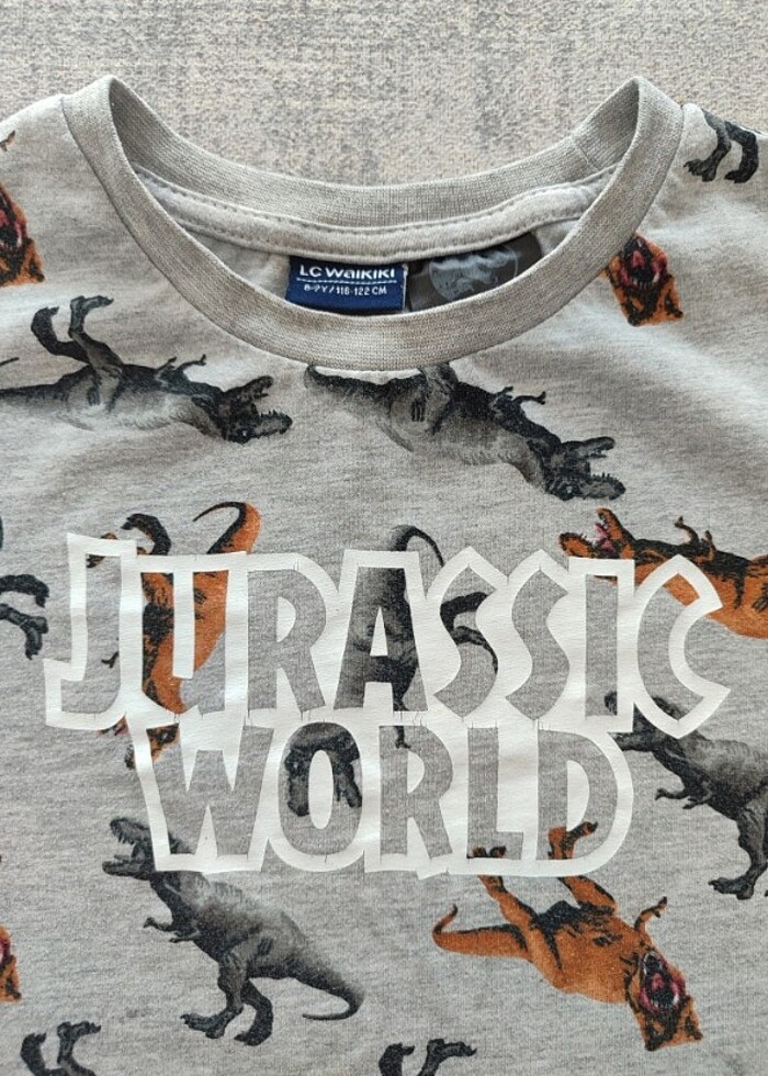 Lcw erkek çocuk sweatshirt  - Görsel 2