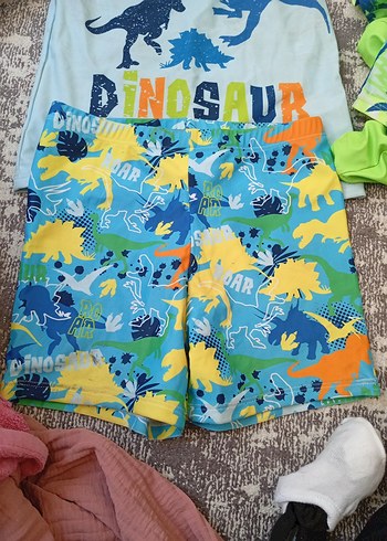 Renkli Dinozor Desenli Erkek Mayo Takımı - Görsel 3