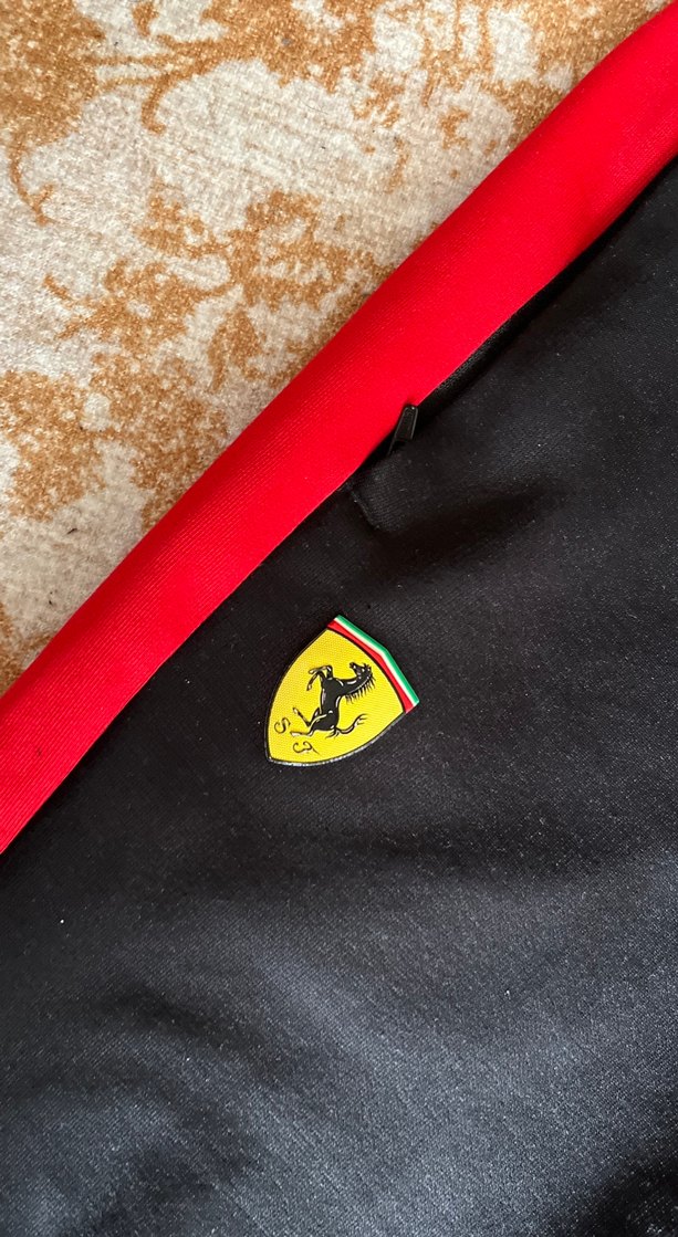 Puma Erkek eşofman altı - Görsel 2