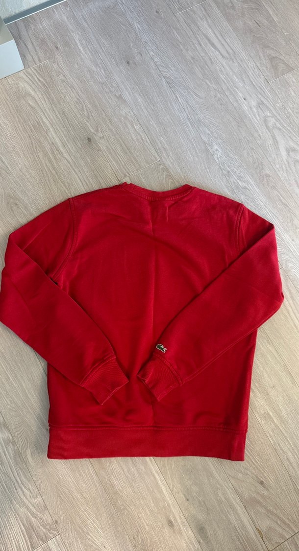 Lacoste Kırmızı Baskılı Erkek Sweatshirt - Görsel 3