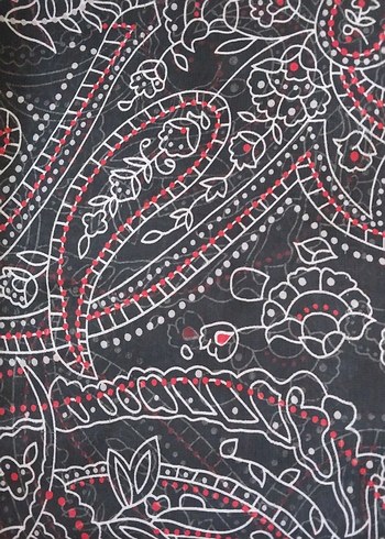 desenli şal - Görsel 2